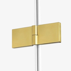 Drzwi prysznicowe do wnęki Avexa Gold 100x200 cm, profil złoty.