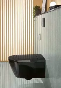 Toaleta myjąca bezrantowa, misa ustępowa lejowa Viclean I 100